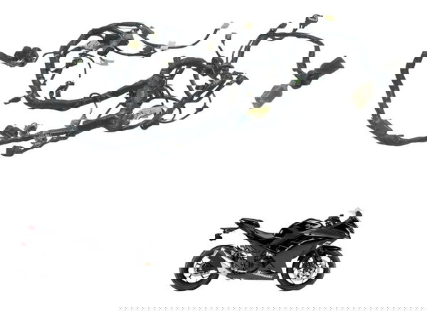 Chicote Principal Kawasaki Ninja 300 13-18 Original Chicote Principal Kawasaki Ninja 300 13-18 Original