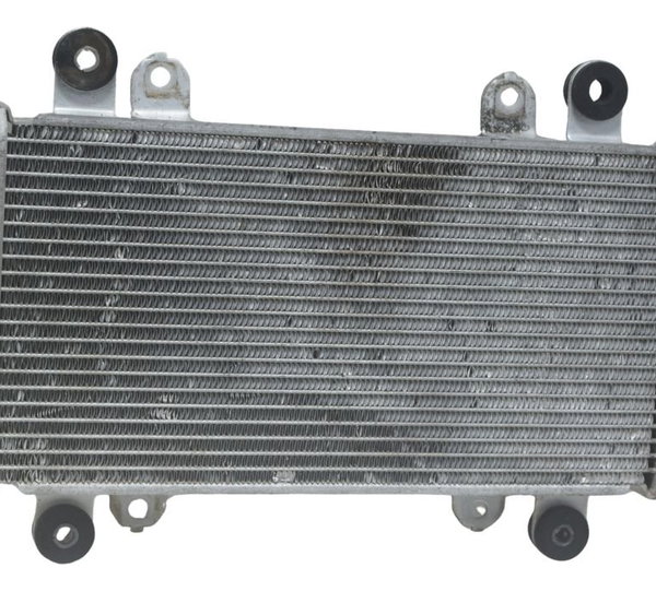 Radiador Kawasaki Ninja 300 13-18 Original
