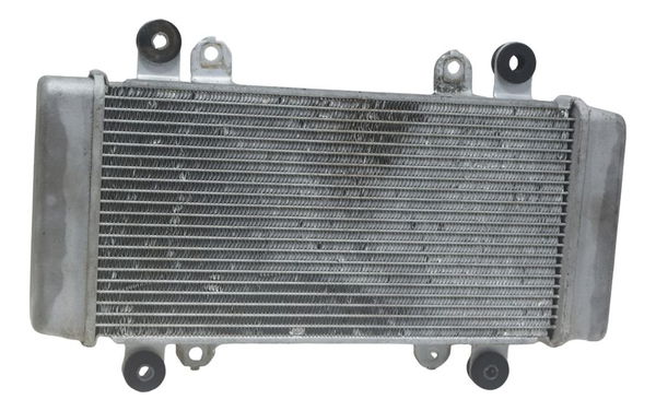 Radiador Kawasaki Ninja 300 13-18 Original