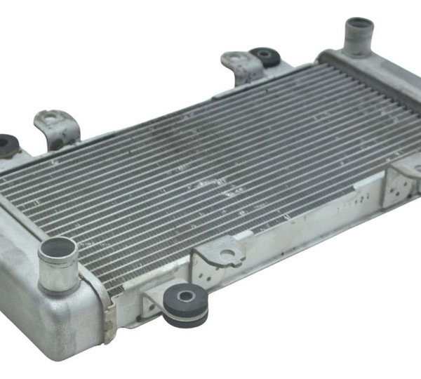 Radiador Kawasaki Ninja 300 13-18 Original