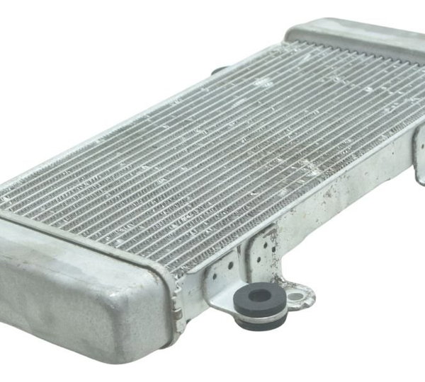 Radiador Kawasaki Ninja 300 13-18 Original