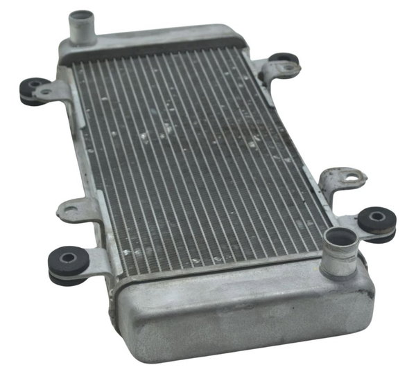 Radiador Kawasaki Ninja 300 13-18 Original