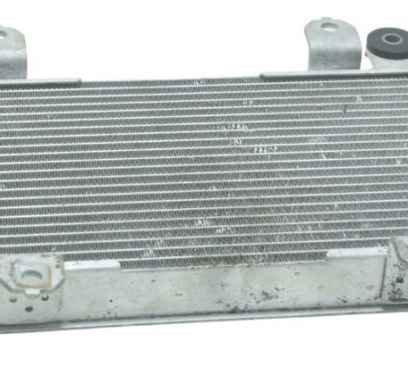 Radiador Kawasaki Ninja 300 13-18 Original