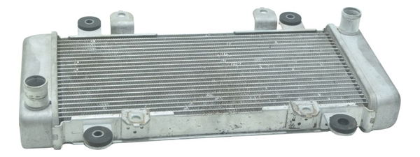 Radiador Kawasaki Ninja 300 13-18 Original