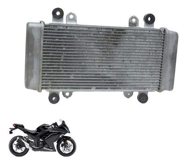 Radiador Kawasaki Ninja 300 13-18 Original