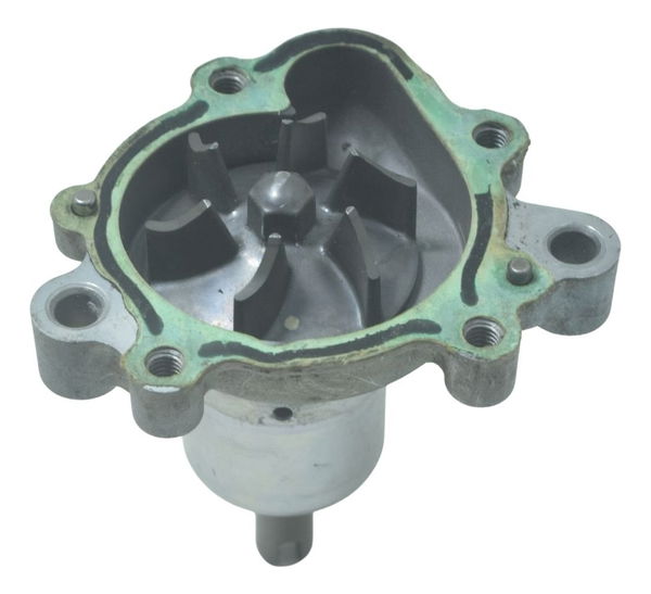 Bomba Água Kawasaki Ninja 300 13-18 Original