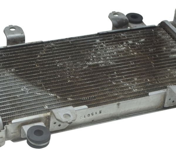 Radiador Kawasaki Ninja 300 13-18 Original