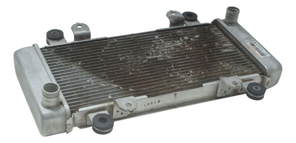 Radiador Kawasaki Ninja 300 13-18 Original