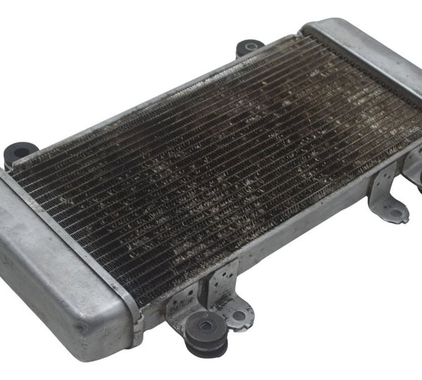 Radiador Kawasaki Ninja 300 13-18 Original