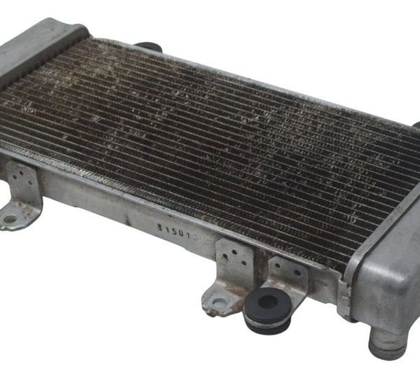 Radiador Kawasaki Ninja 300 13-18 Original