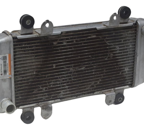 Radiador Kawasaki Ninja 300 13-18 Original