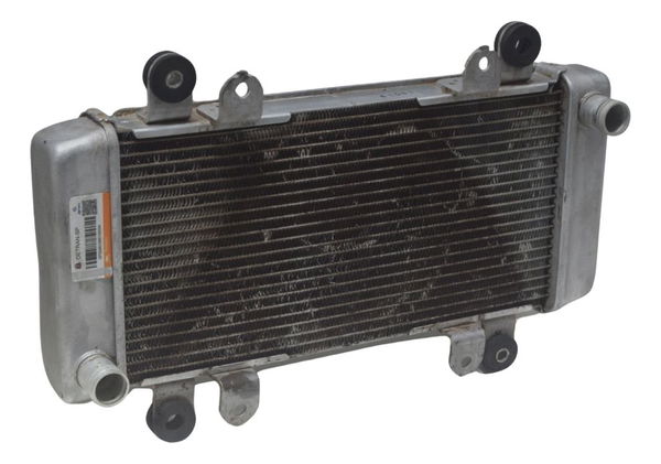 Radiador Kawasaki Ninja 300 13-18 Original
