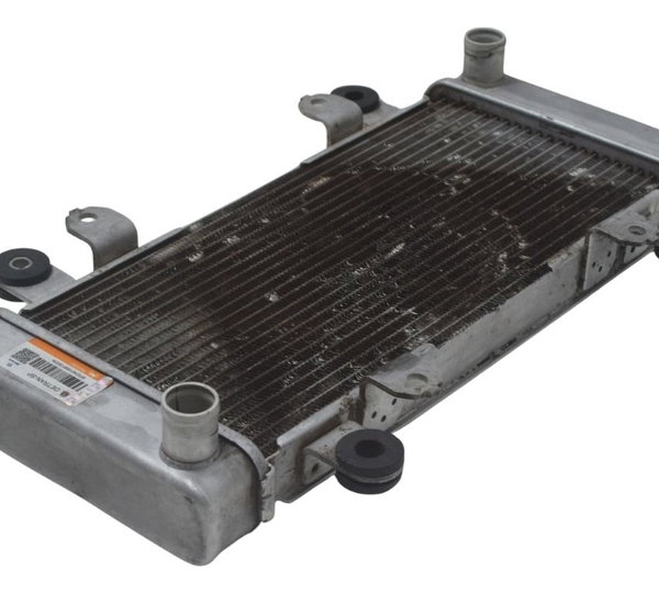 Radiador Kawasaki Ninja 300 13-18 Original