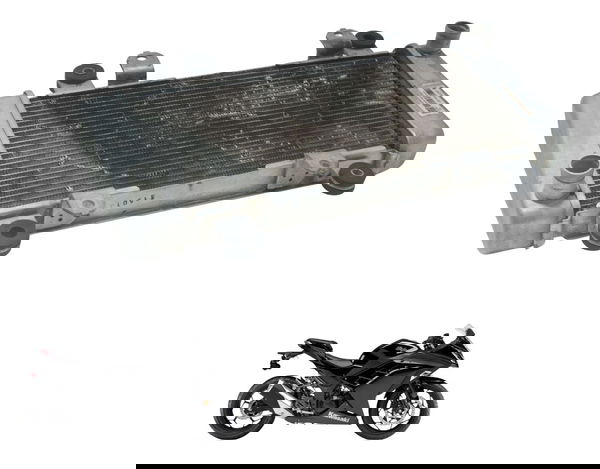 Radiador Kawasaki Ninja 300 13-18 Original