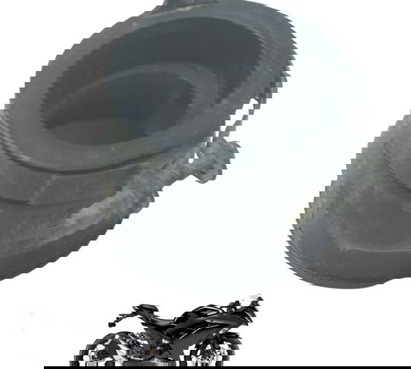 Coletor Admissão Kawasaki Ninja 300 13-18 Original