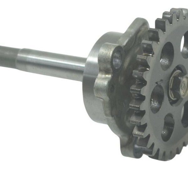 Bomba Óleo Kawasaki Ninja 300 13-18 Original