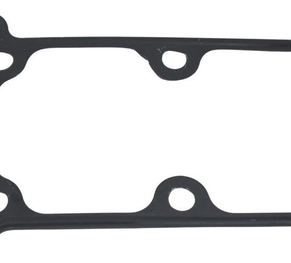Junta Cabeçote Kawasaki Ninja 300 13-18 Original