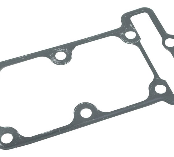 Junta Cabeçote Kawasaki Ninja 300 13-18 Original