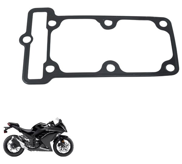 Junta Cabeçote Kawasaki Ninja 300 13-18 Original