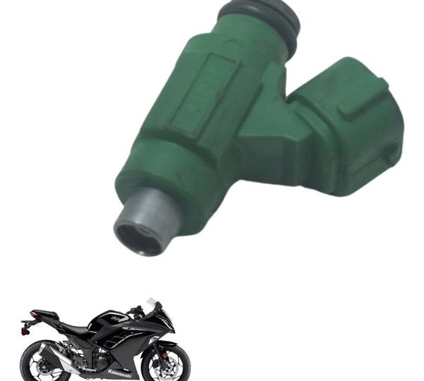 Bico Injetor Kawasaki Ninja 300 13-18 Original