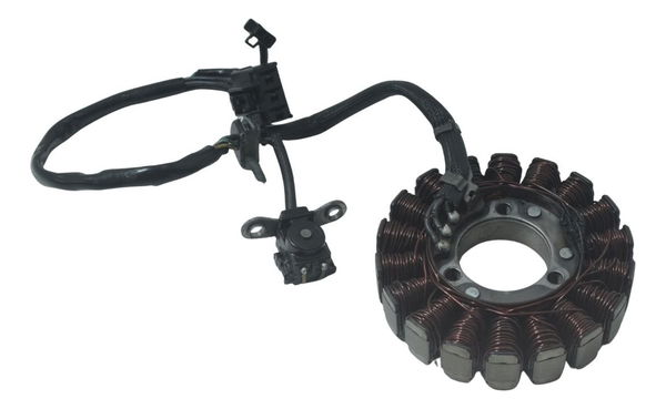 Estator C/avaria Kawasaki Ninja 300 13-18 Original