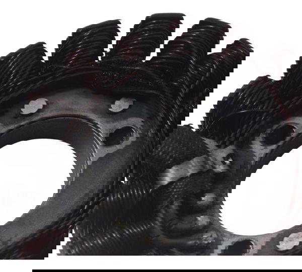 Estator C/avaria Kawasaki Ninja 300 13-18 Original