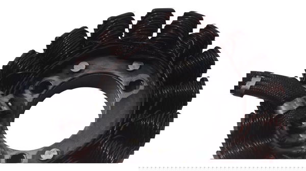 Estator C/avaria Kawasaki Ninja 300 13-18 Original