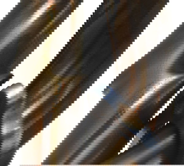 Curva Escape C/avaria Honda Cb 500 F 18-21 Original