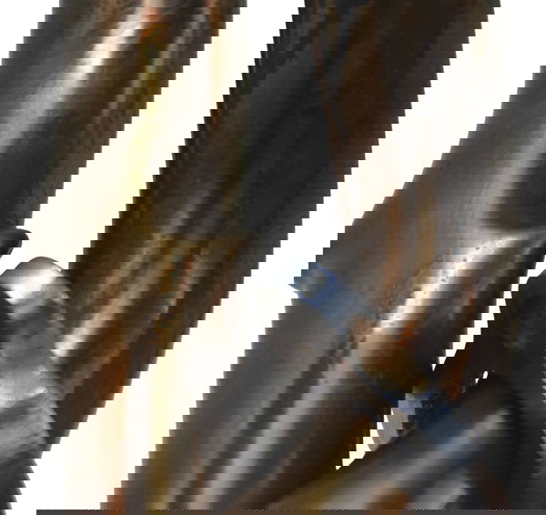 Curva Escape C/avaria Honda Cb 500 F 18-21 Original