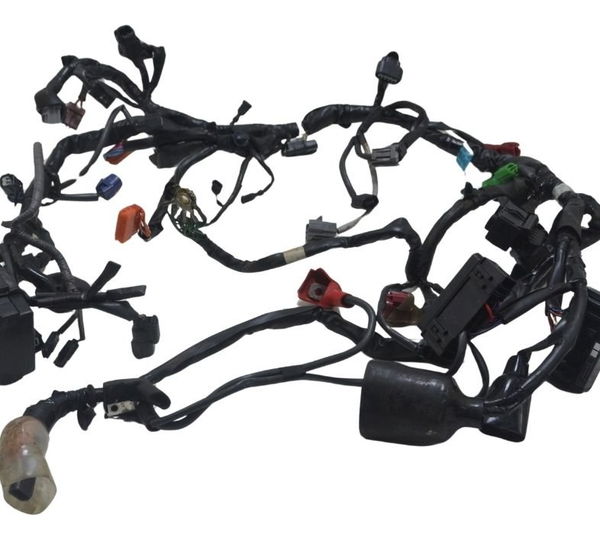 Chicote Principal Honda Cb 500 F 18-21 Original