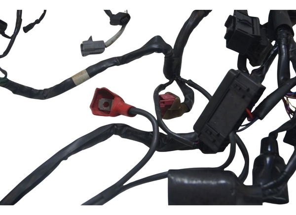 Chicote Principal Honda Cb 500 F 18-21 Original