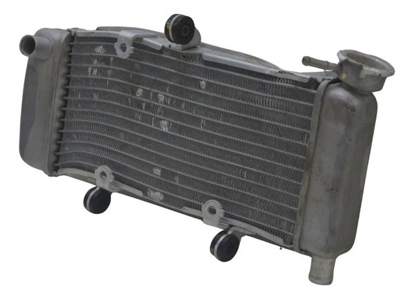 Radiador C/ Avaria Honda Cbr 250 R 2012 Original