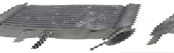 Radiador C/ Avaria Honda Cbr 250 R 2012 Original