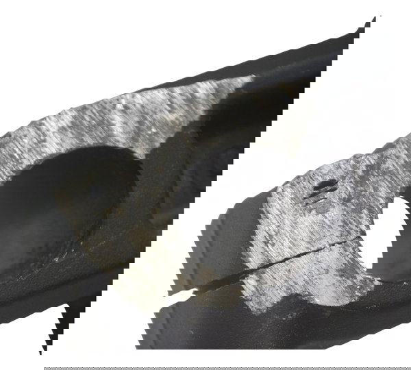 Bengala Lado Direito C/ Detalhes Ktm Duke 200 12-17 Original