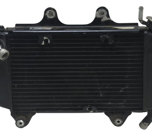 Radiador Ktm Duke 200 12-17 Original