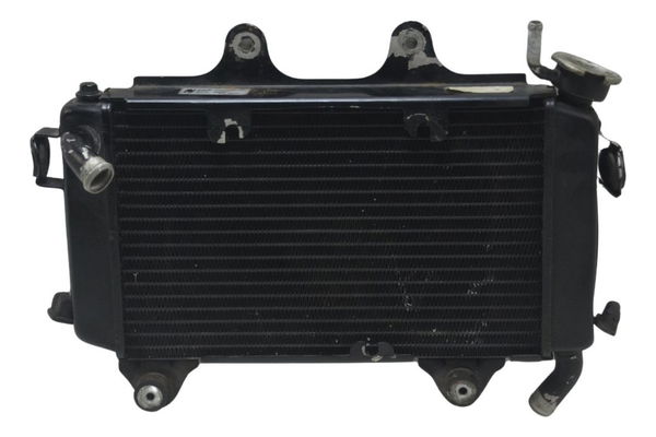 Radiador Ktm Duke 200 12-17 Original