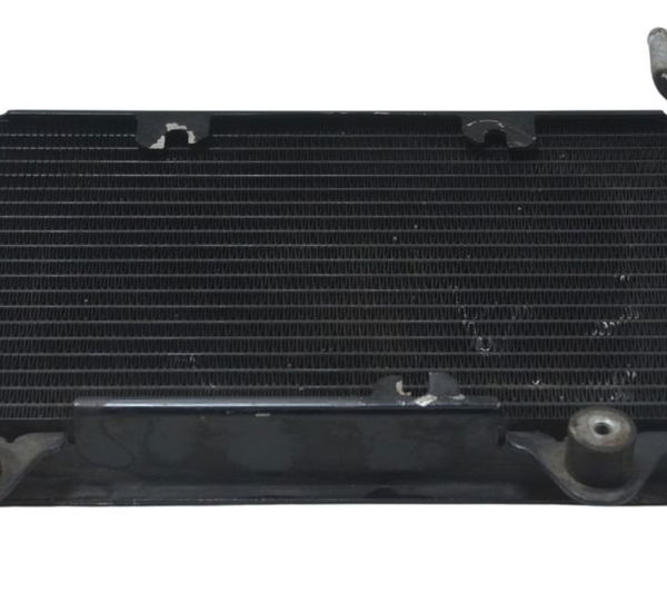 Radiador Ktm Duke 200 12-17 Original