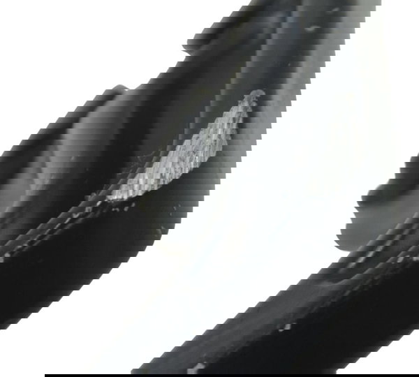 Alça Traseira Esq C/detal Ktm Duke 200 12-17 Original