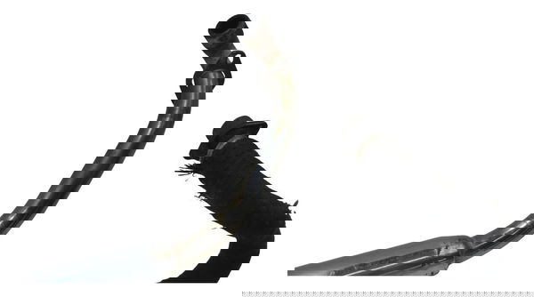 Par Escape Esportiva Yamaha Drag Star Xvs 650 98-08