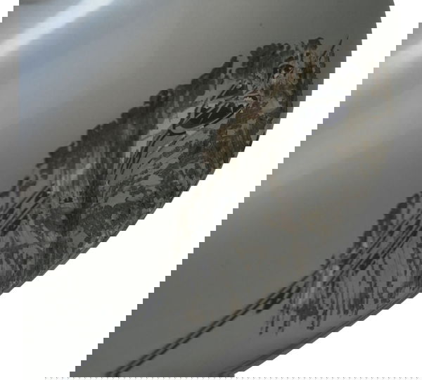 Tanque Combustível C/ Avaria Yamaha Drag Star Xvs 650 98-08