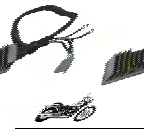 Retificador Carga Yamaha Drag Star Xvs 650 98-08 Original