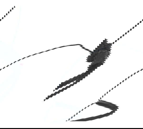 Chicote Lanterna Farol Yamaha Drag Star Xvs 650 98-06 Origin