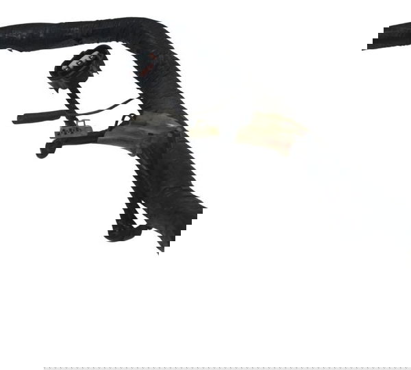 Chicote Principal C/avaria Yamaha Drag Star Xvs 650 98-06