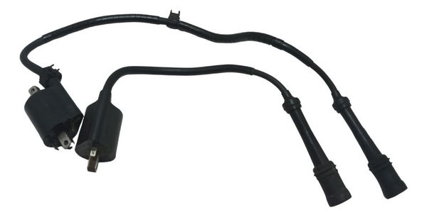 Par Bobina Ignição Yamaha Drag Star Xvs 650 98-08 Original