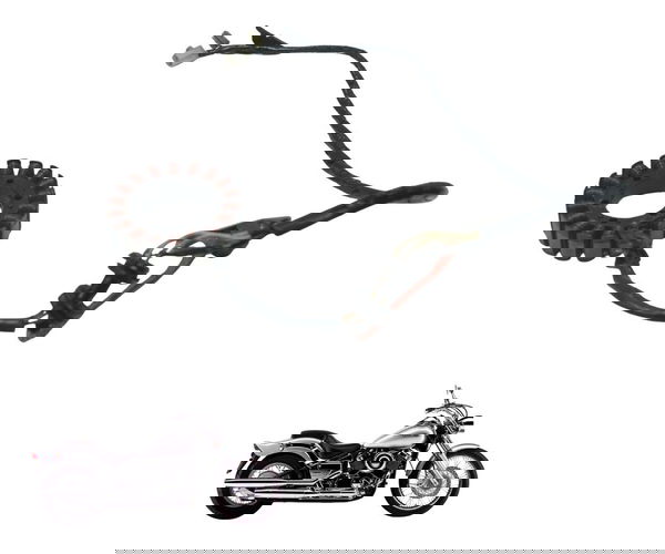 Estator C/pulsador Yamaha Drag Star Xvs 650 98-08 Original