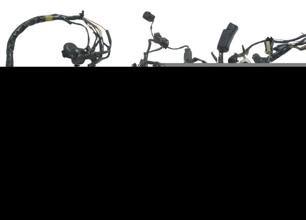 Chicote Principal Kawasaki Ninja 1000 10-13 Original