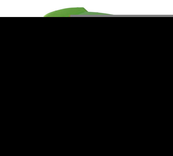 Spoiler Inferior Dir C/ Avari Kawasaki Ninja 1000 10-13 Orig