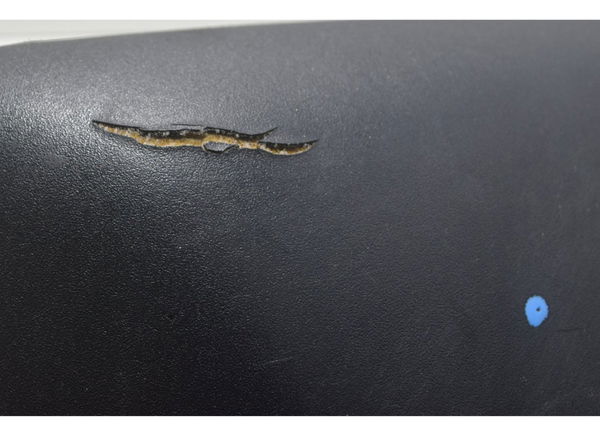 Banco Traseiro C/ Avaria Kawasaki Ninja 1000 10-13 Original Banco Traseiro C/ Avaria Kawasaki Ninja 1000 10-13 Original