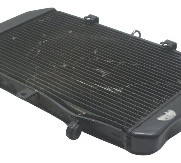 Radiador C/ Avaria Kawasaki Ninja 1000 10-13 Original