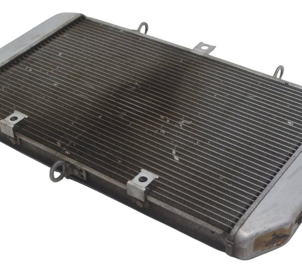 Radiador Kawasaki Ninja 1000 10-13 Original